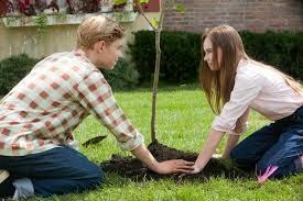 O Primeiro Amor – Quando o olhar muda, o amor floresce