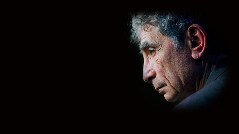 Um olhar profundo sobre dor, empatia e transformação emocional